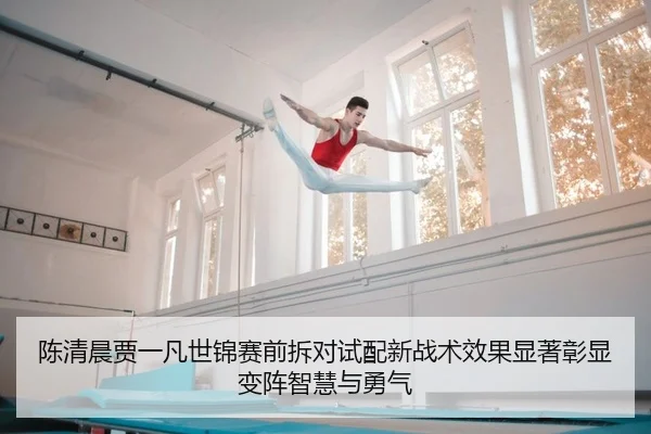 陈清晨贾一凡世锦赛前拆对试配新战术效果显著彰显变阵智慧与勇气